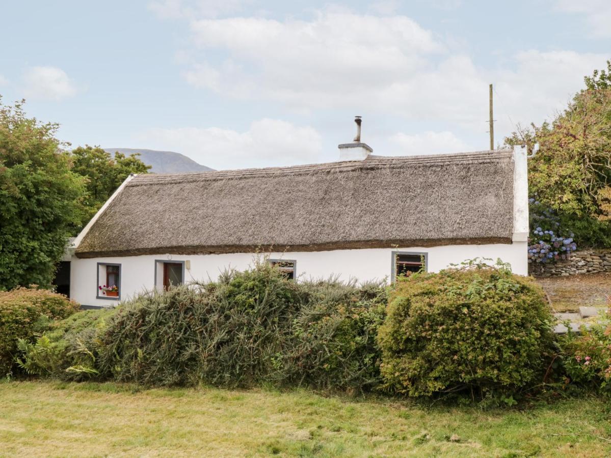 The Thatched Cottage Liscarney Luaran gambar